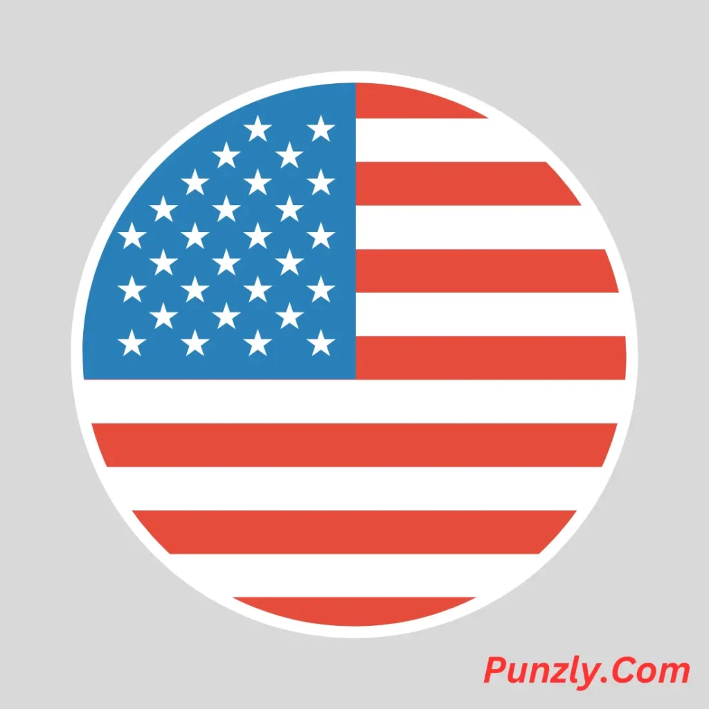 Clever Flag Puns