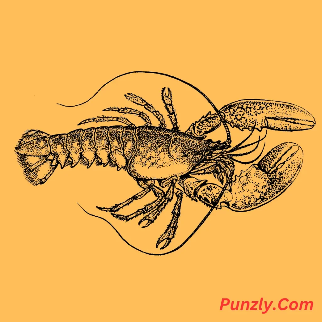 Clever Lobster Puns