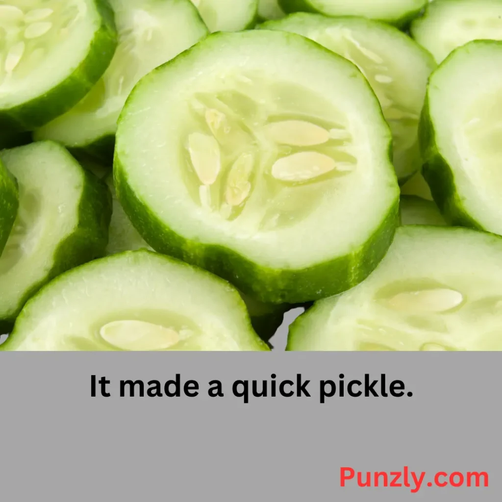 Cucumber Jokes