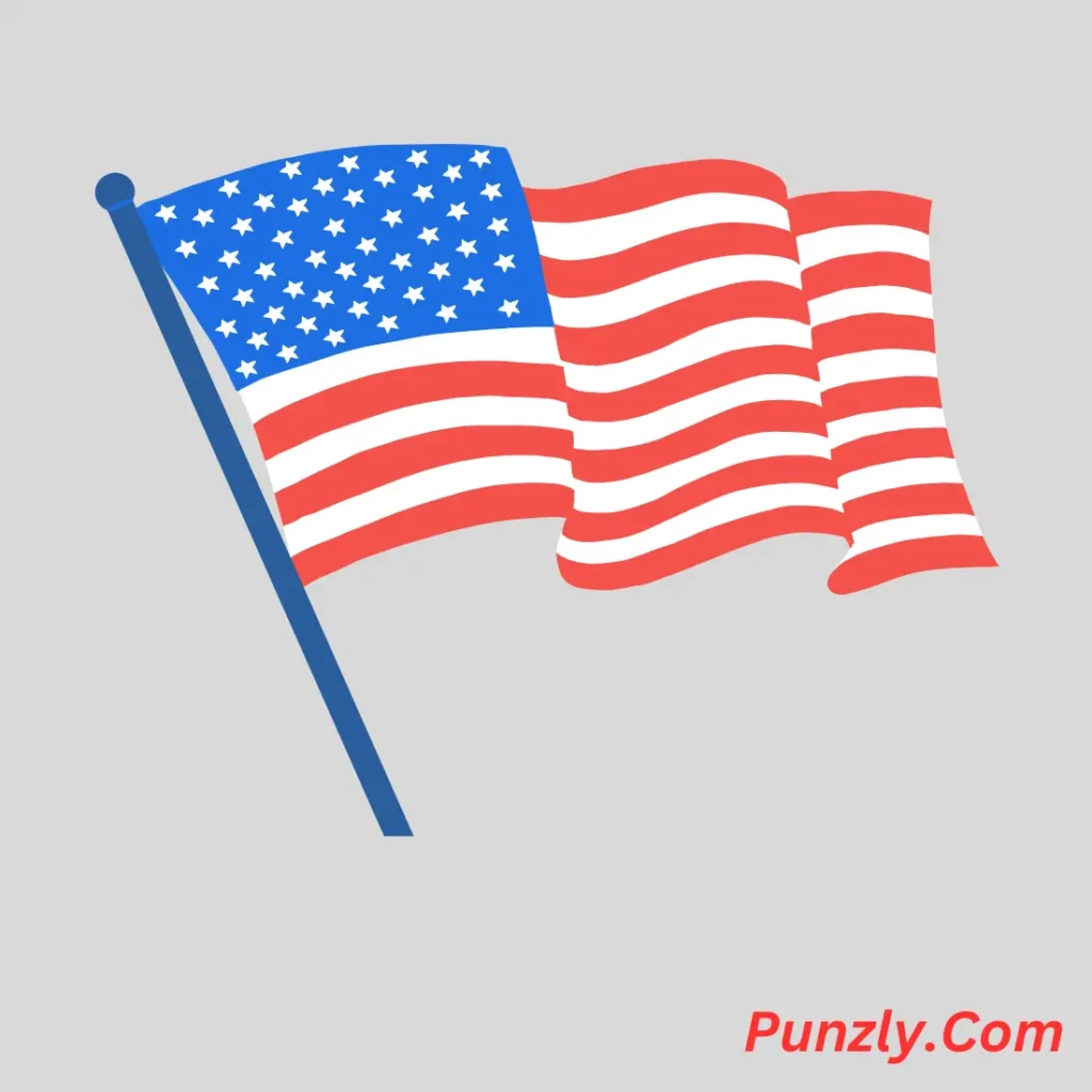Flag Puns
