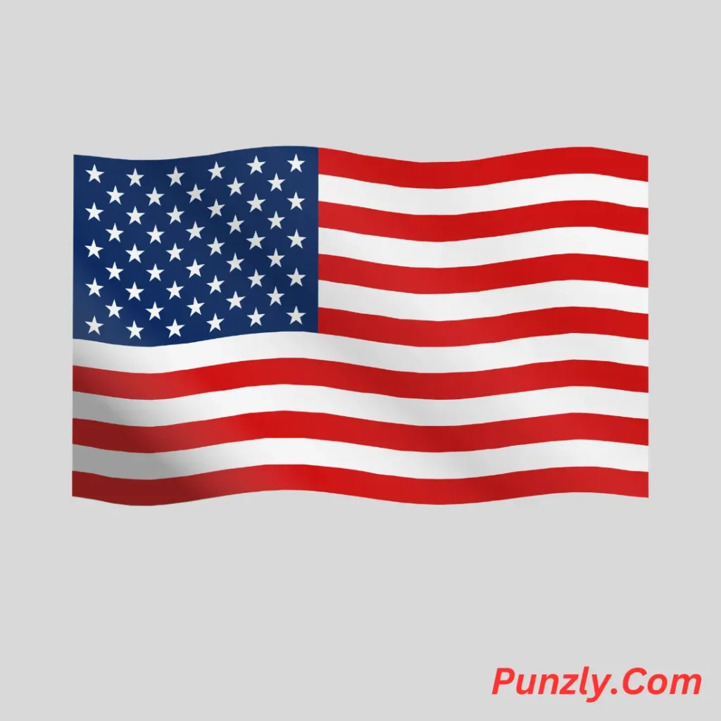 Funny Flag Puns
