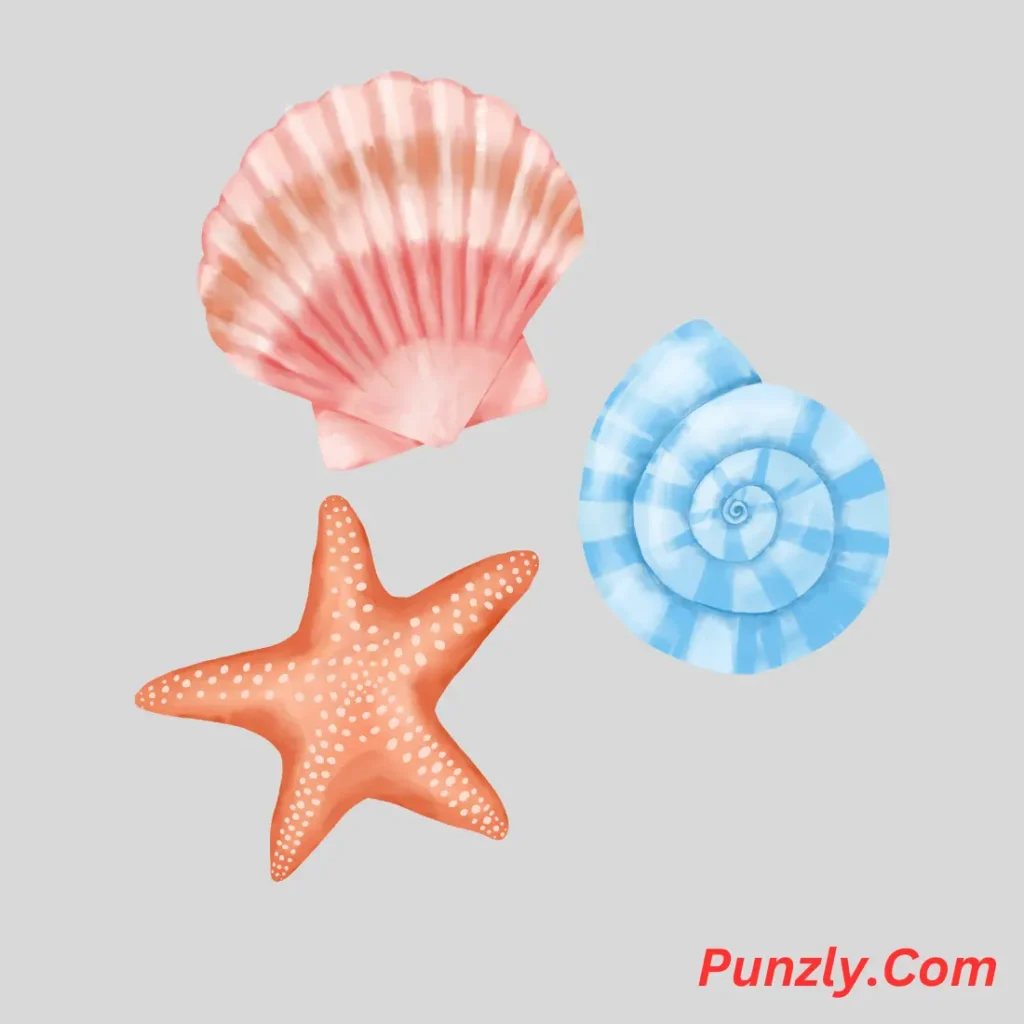 Funny Shell Puns