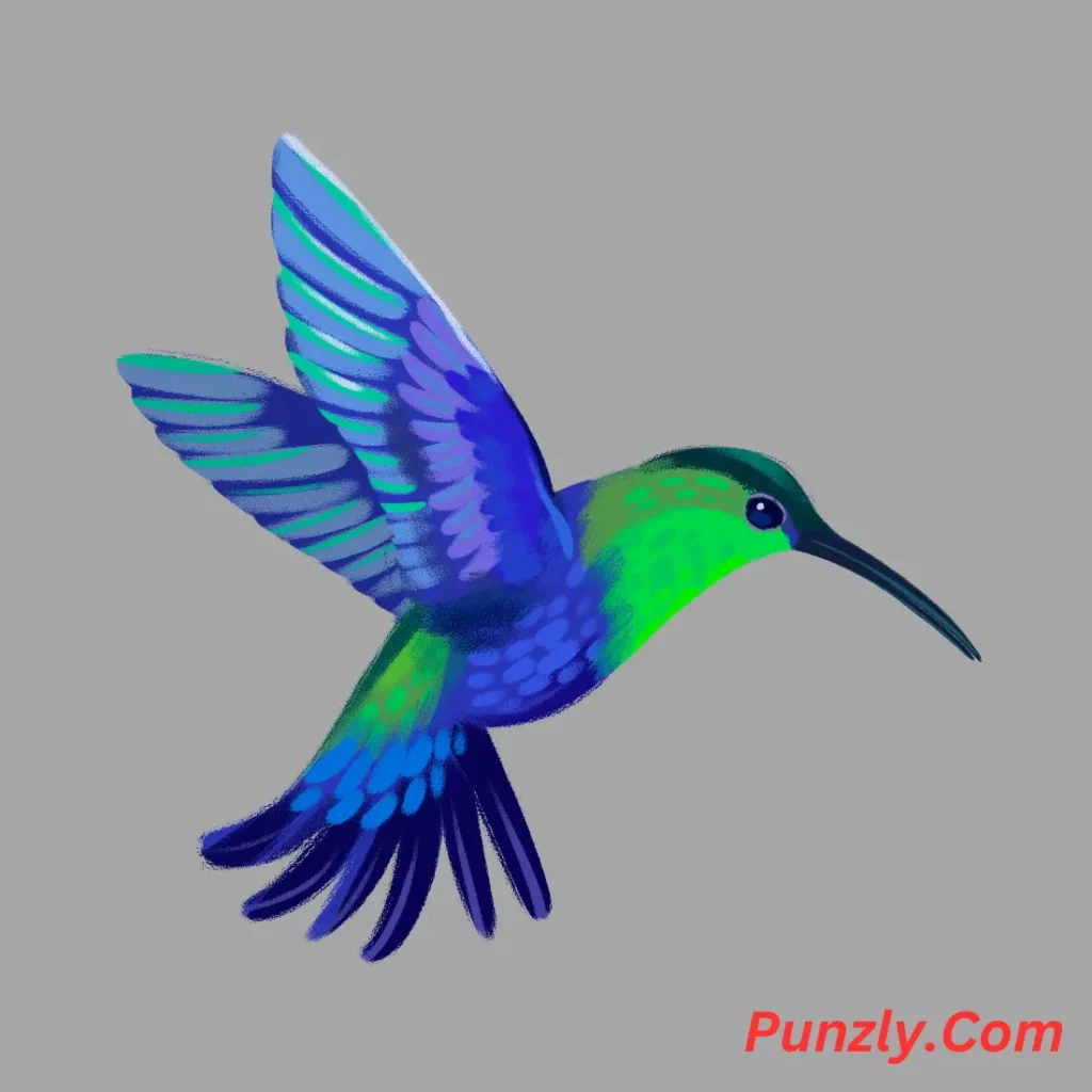 Hummingbird Jokes One-Liners