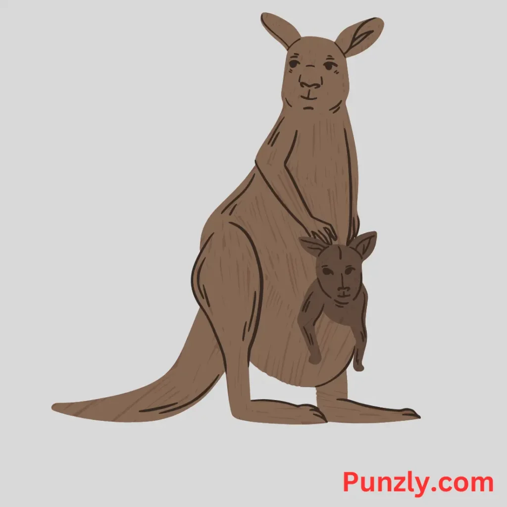 Kangaroo Dad Jokes
