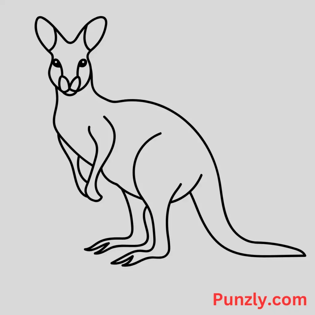 Kangaroo Jokes for Adults 