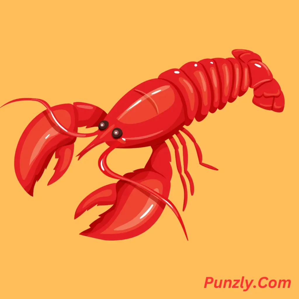 Lobster Puns