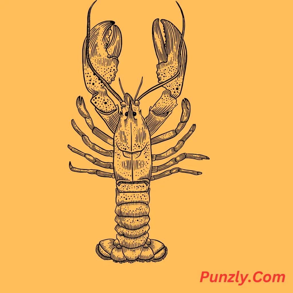 Lobster Puns Captions