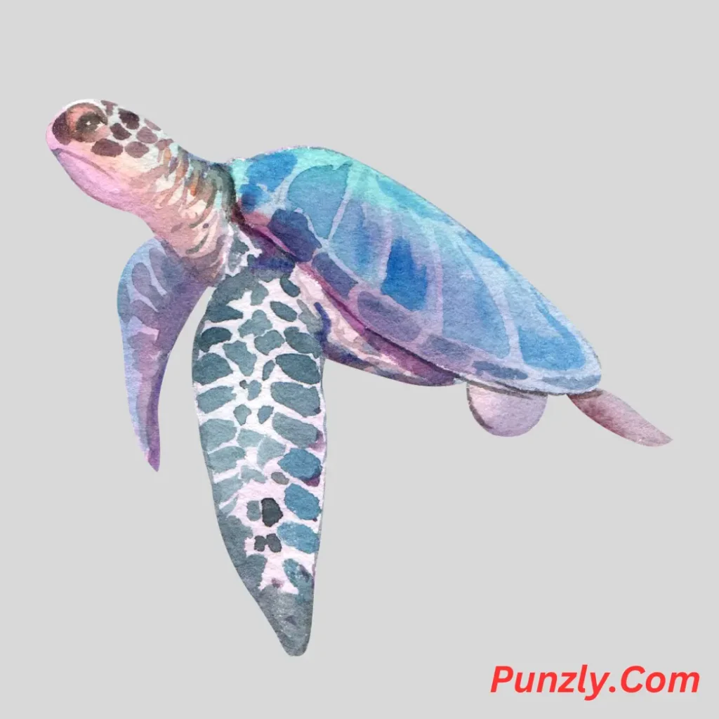 Shell Puns Captions