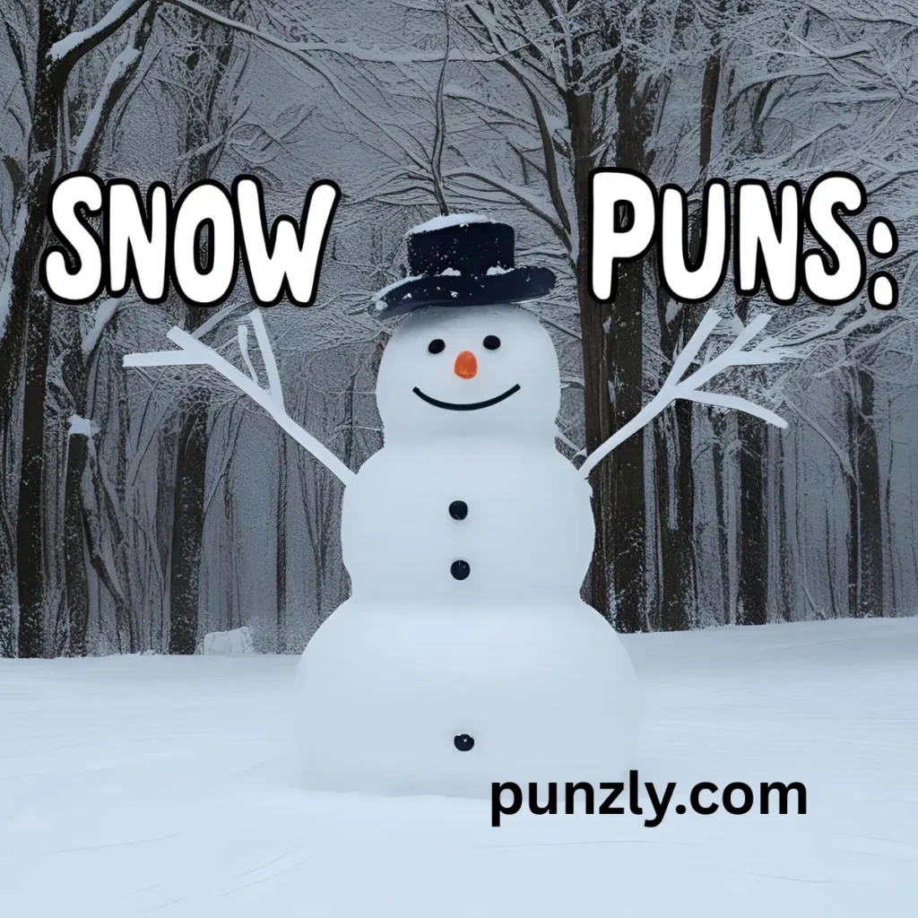 Snow Puns