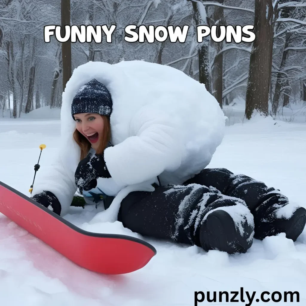 Snow Puns