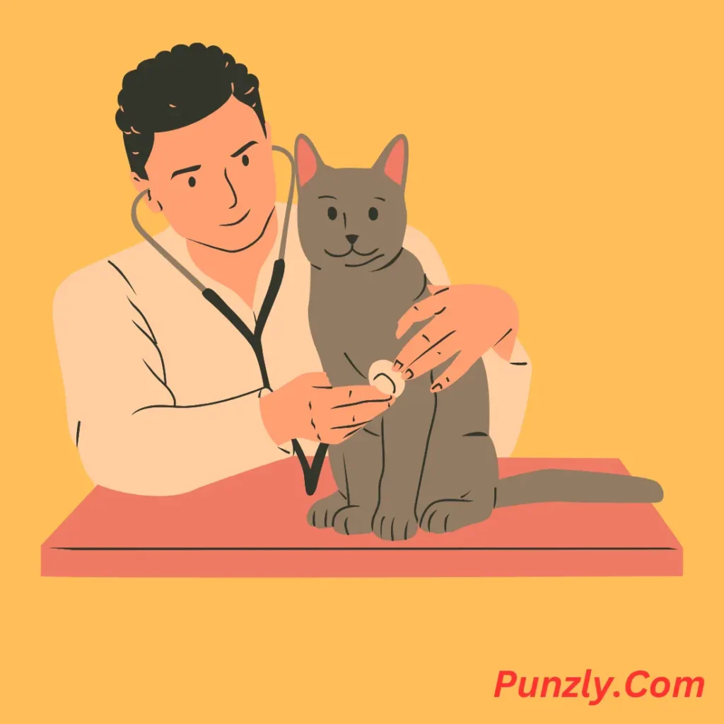 Veterinary Puns