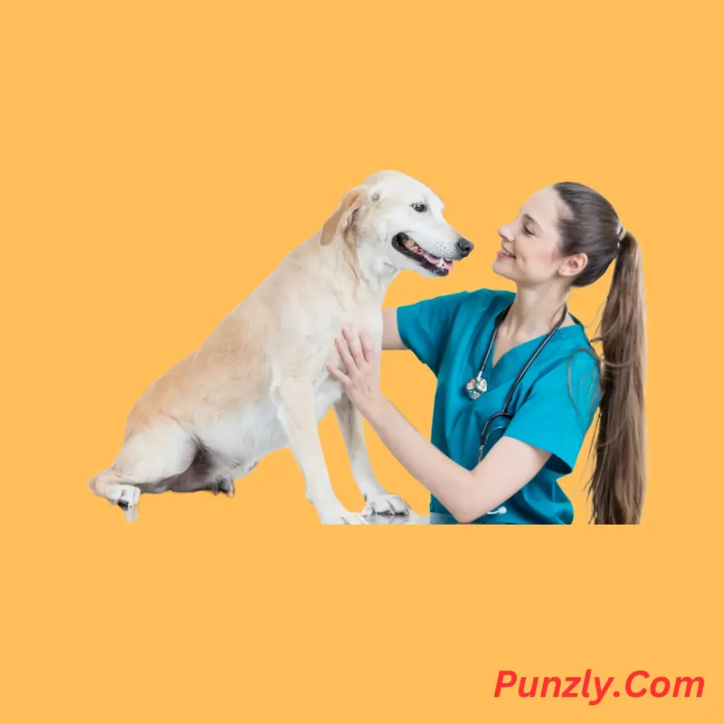 Veterinary Puns Captions