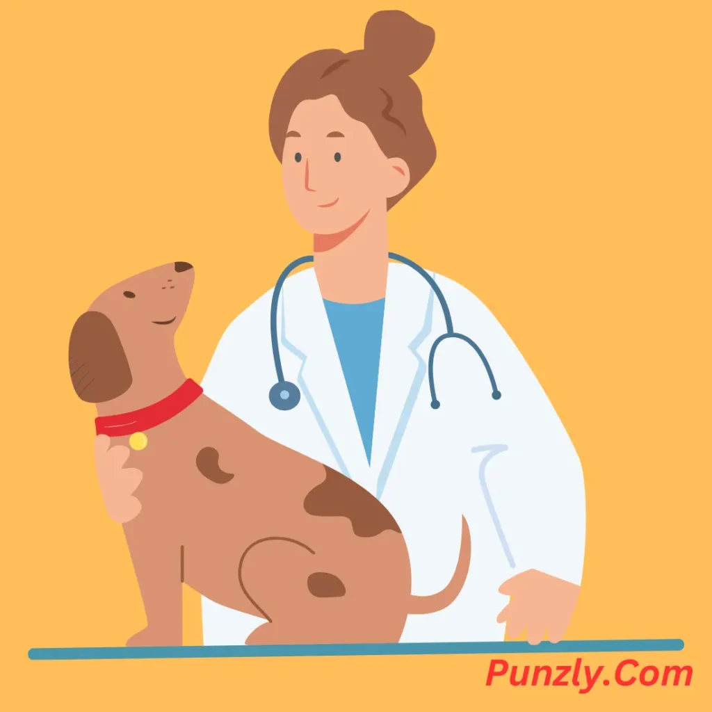 Veterinary Puns One