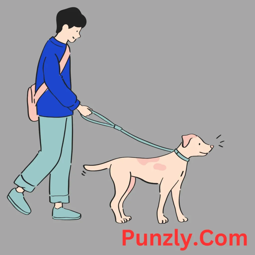 Dog-Walk Jokes